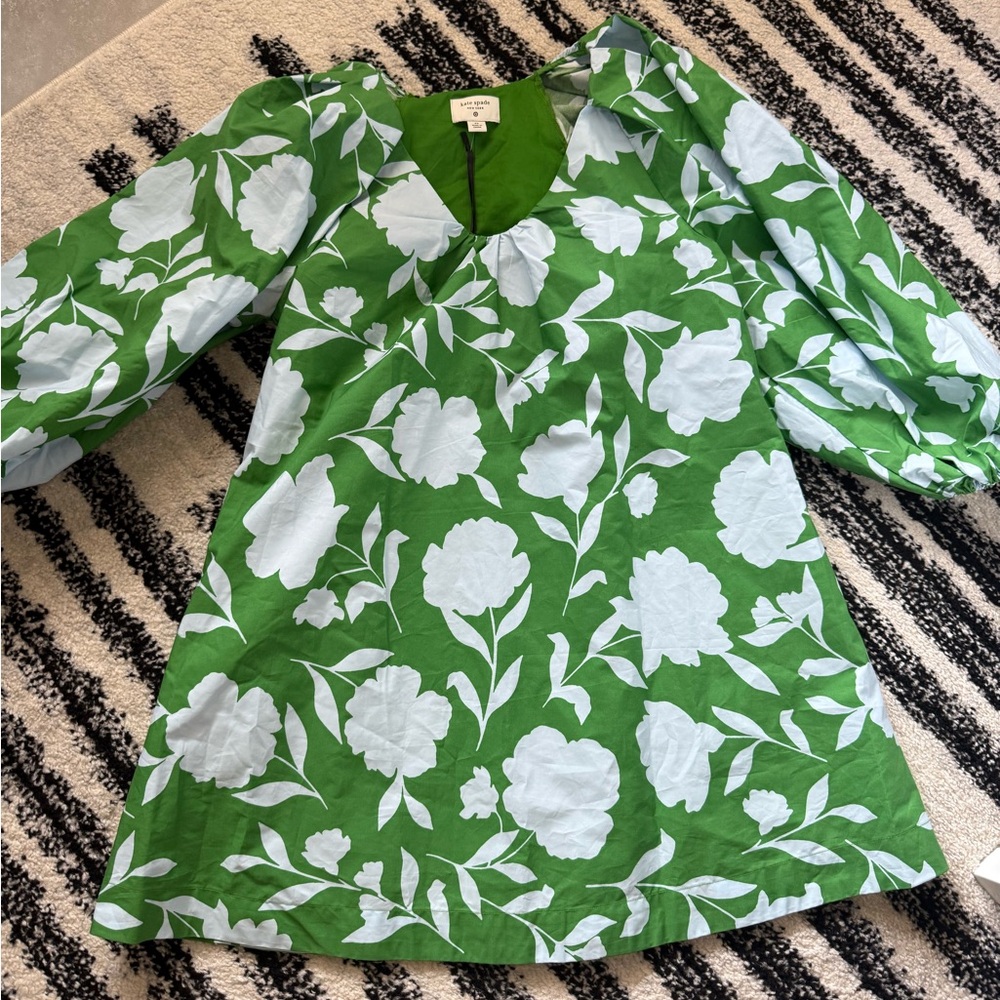Kate Spade x Target Classic Rose Poplin Long Sleeve Mini Dress Green/Blue